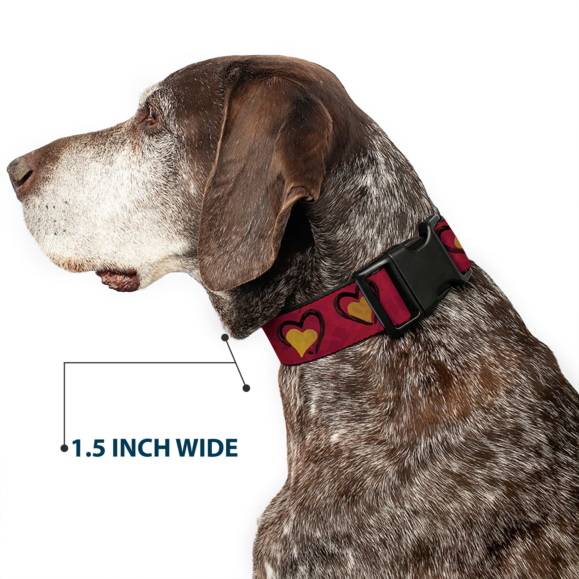 Plastic Clip Collar - Alice in Wonderland Queens Hearts Reds/Black/Gold
