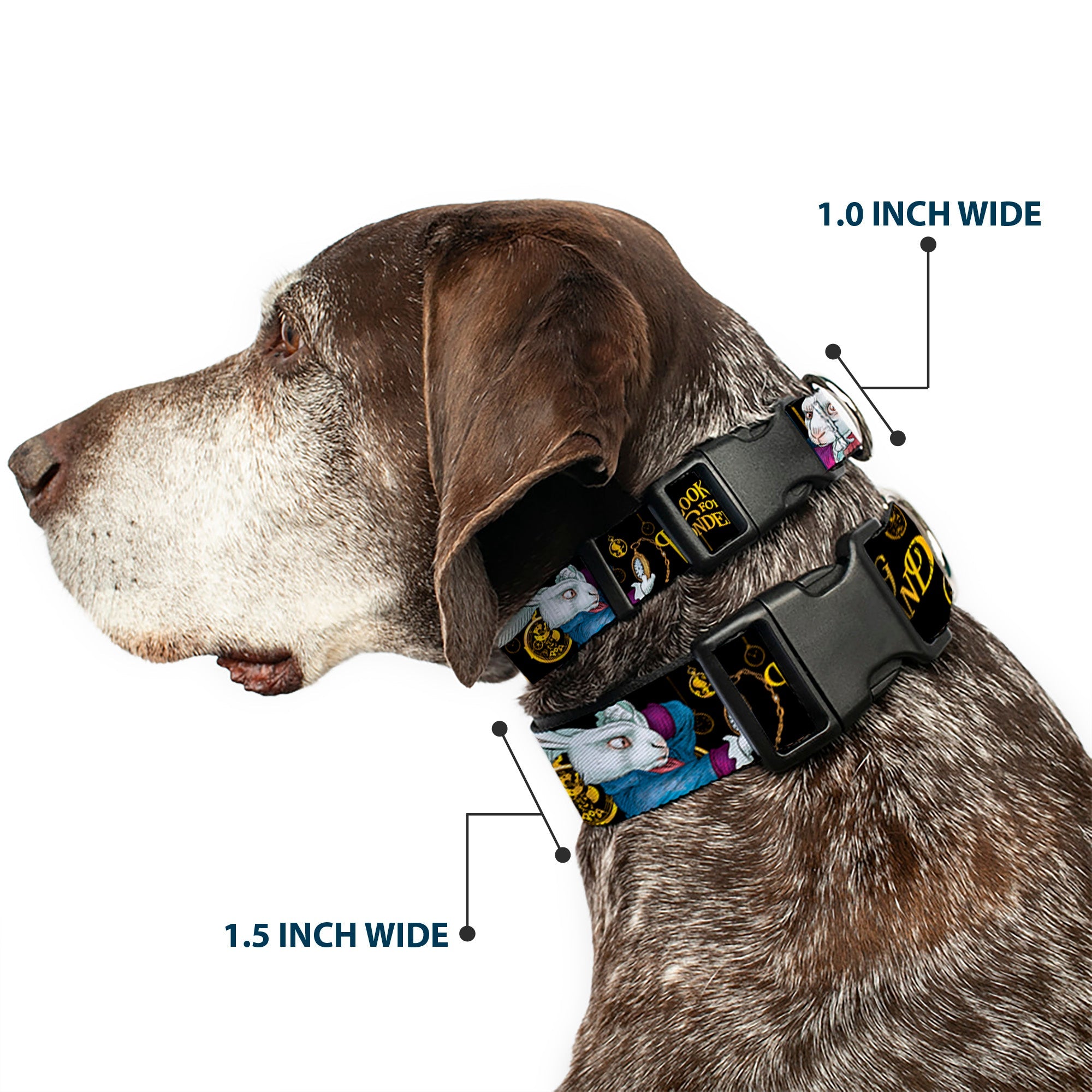 Plastic Clip Collar - White Rabbit Poses LOOKING FOR WONDERLAND/Clocks Black/Golds