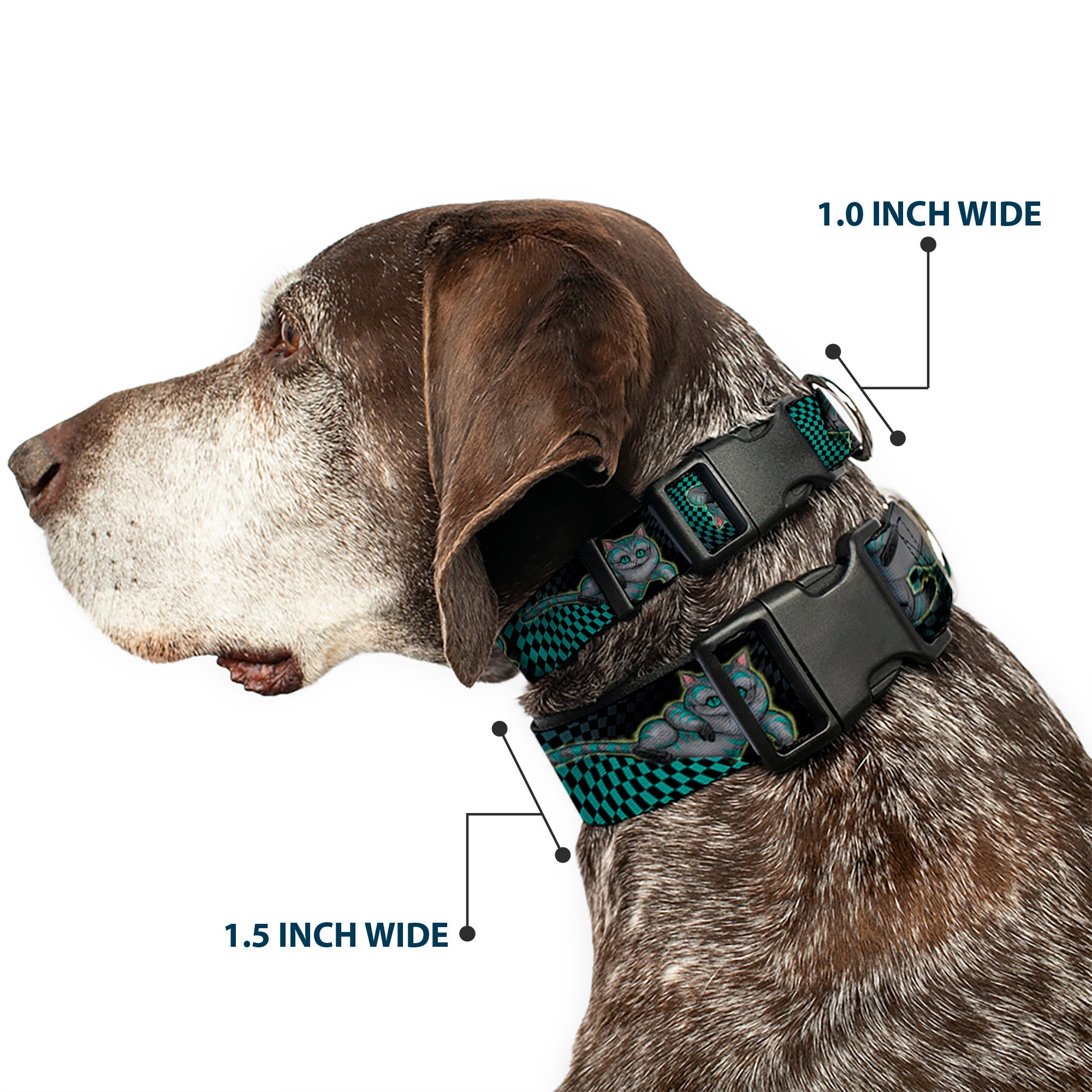 Plastic Clip Collar - Cheshire Cat 4-Poses Checkers Teal/Black