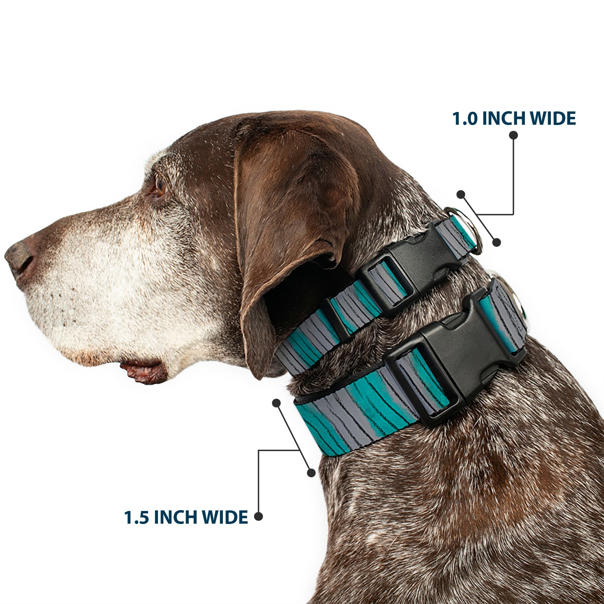 Plastic Clip Collar - Cheshire Cat Stripes Gray/Teal/Black