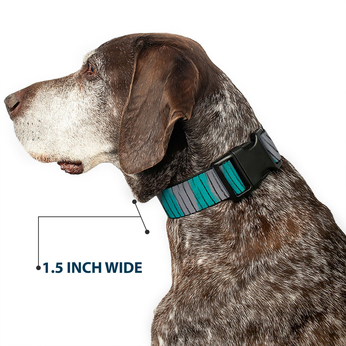 Plastic Clip Collar - Cheshire Cat Stripes Gray/Teal/Black