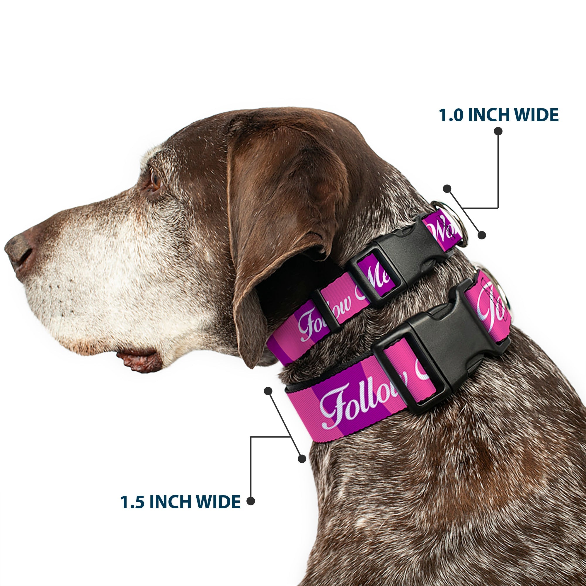 Plastic Clip Collar - Cheshire Cat Stripe/FOLLOW ME TO WONDERLAND Pink/Purple/White