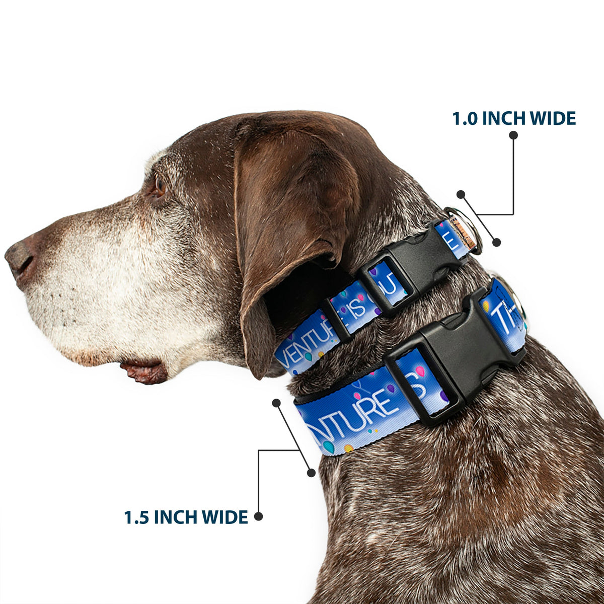 Plastic Clip Collar - ADVENTURE IS OUT THERE/Carl on Porch/Flying House/Balloons Blues/White/Multi Color