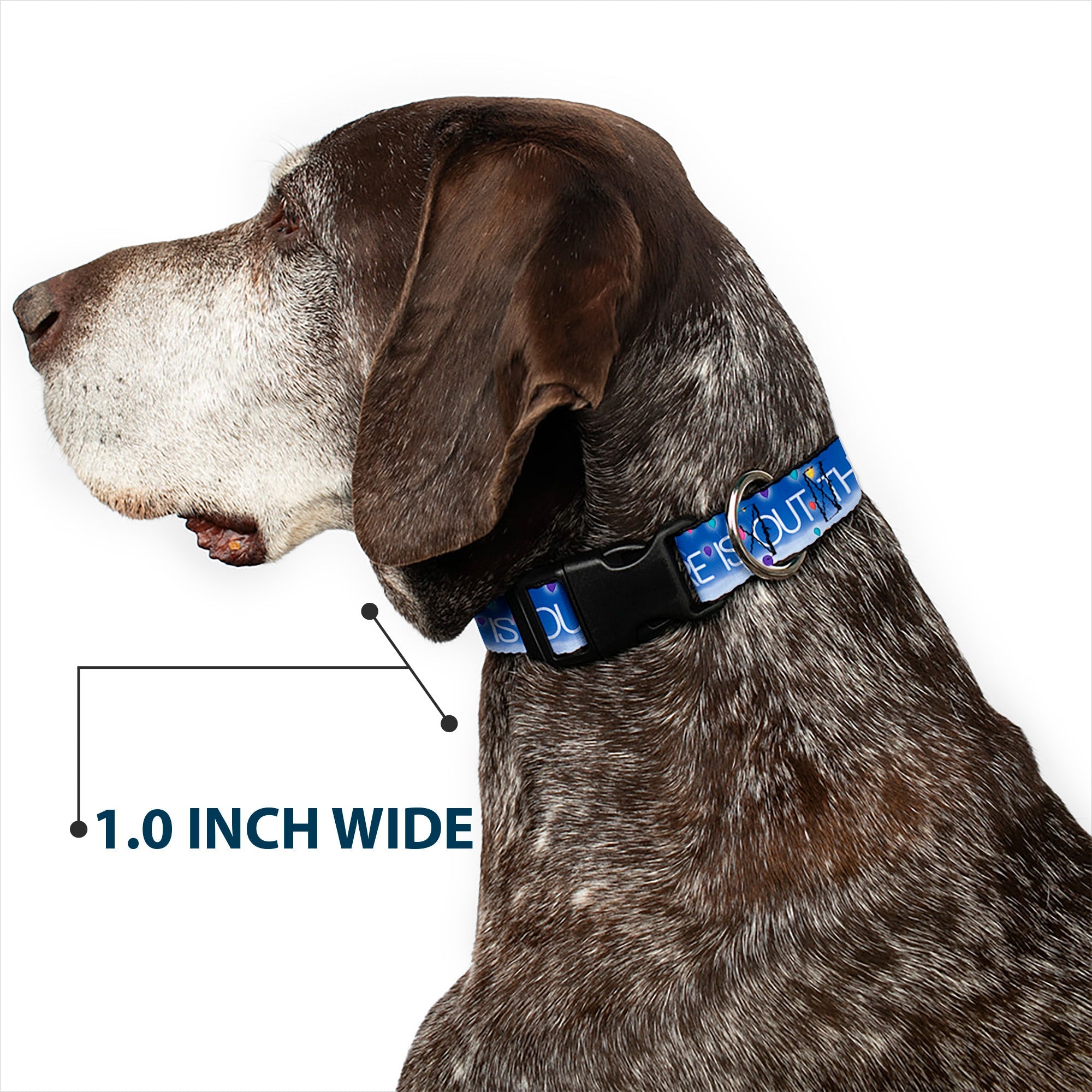 Plastic Clip Collar - ADVENTURE IS OUT THERE/Carl on Porch/Flying House/Balloons Blues/White/Multi Color