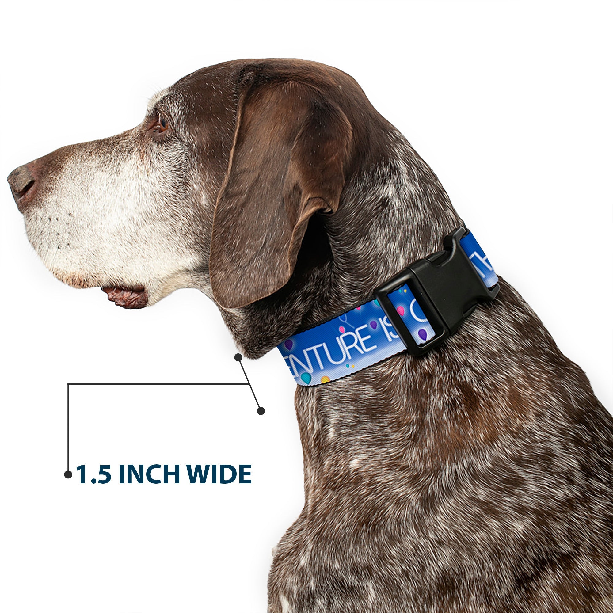 Plastic Clip Collar - ADVENTURE IS OUT THERE/Carl on Porch/Flying House/Balloons Blues/White/Multi Color