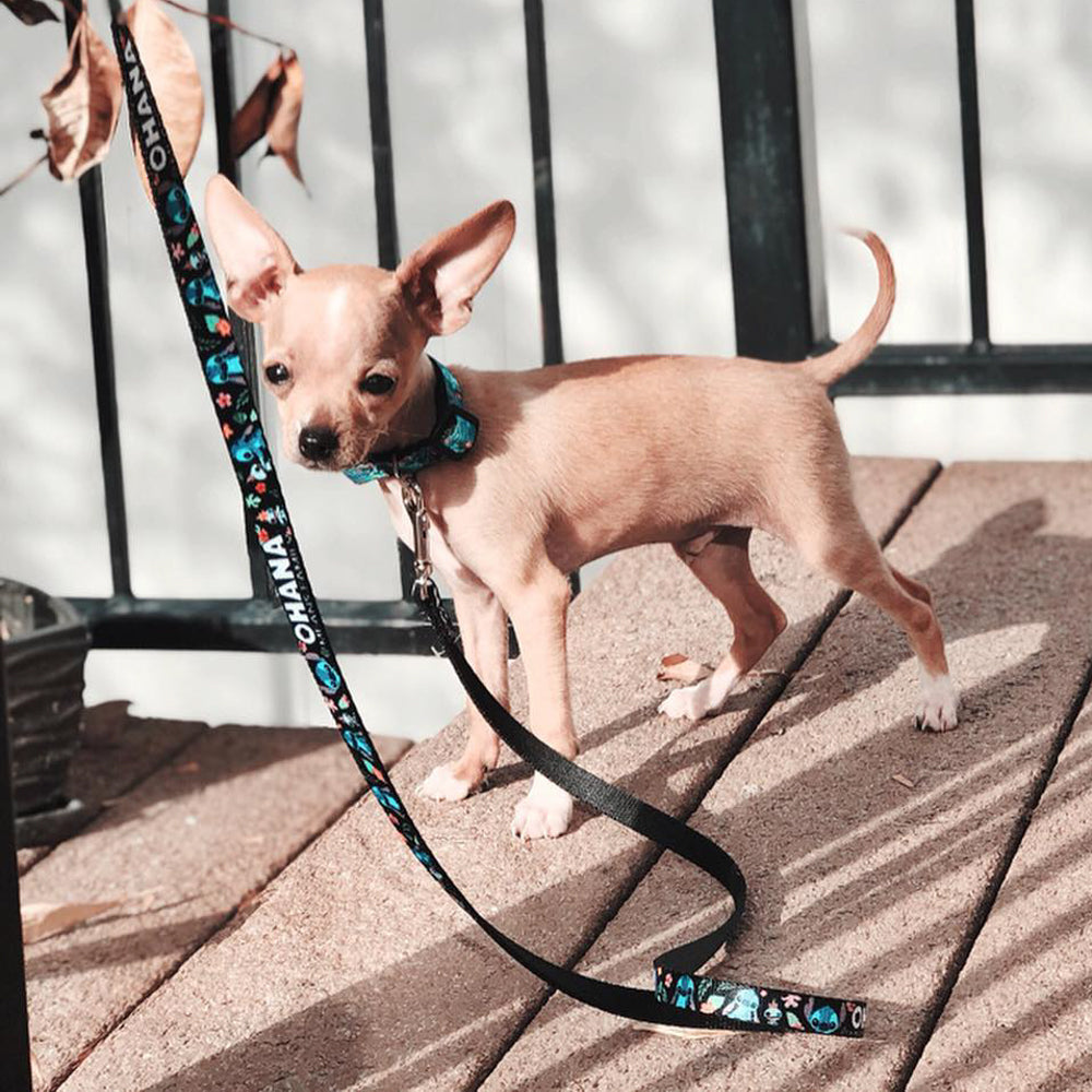 Plastic Clip Collar - OHANA MEANS FAMILY/Stitch & Scrump Poses/Tropical Flora Black/White/Multi Color