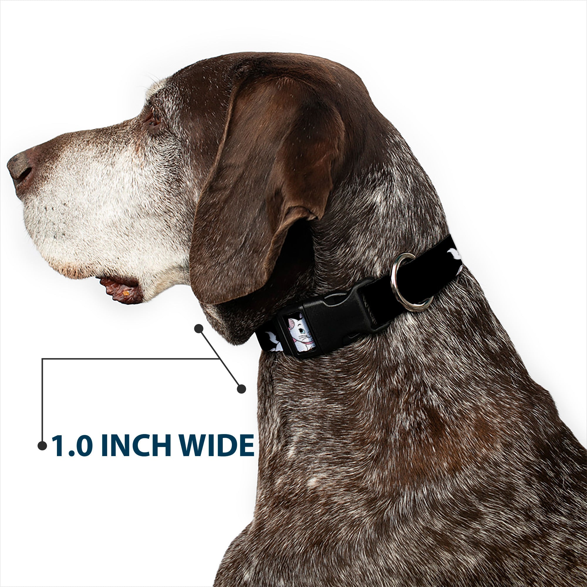 Plastic Clip Collar - Aristocats Marie 3-Poses BECAUSE IM A LADY THATS WHY Black/White/Pink