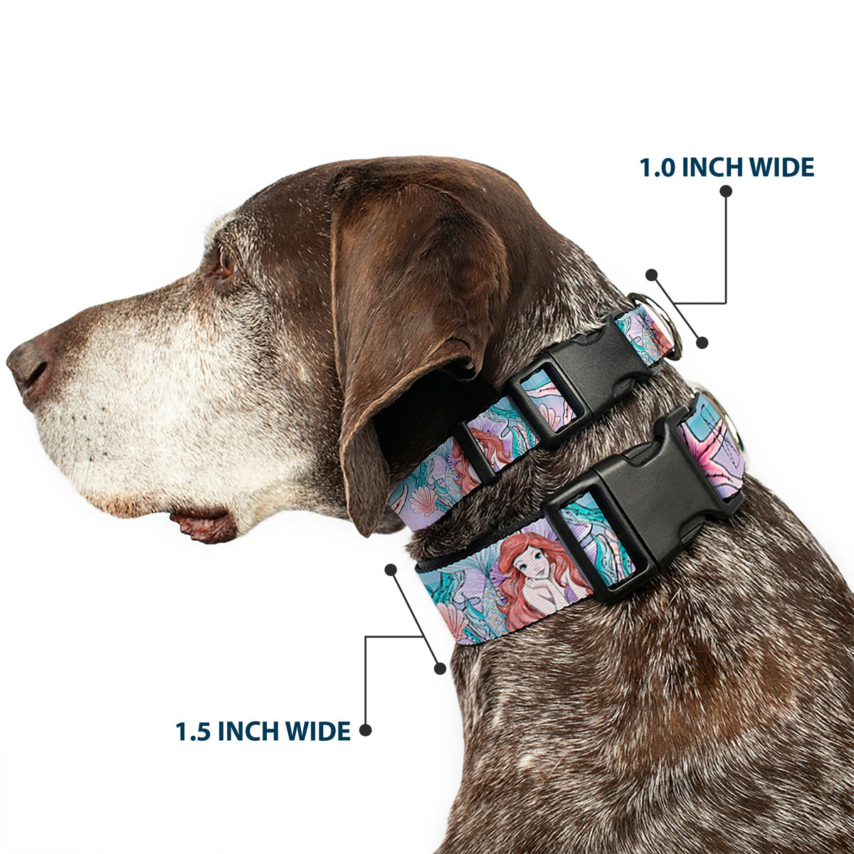Plastic Clip Collar - The Little Mermaid Ariel Sketch4 Pose/Shells/Kelp Blues/Pinks