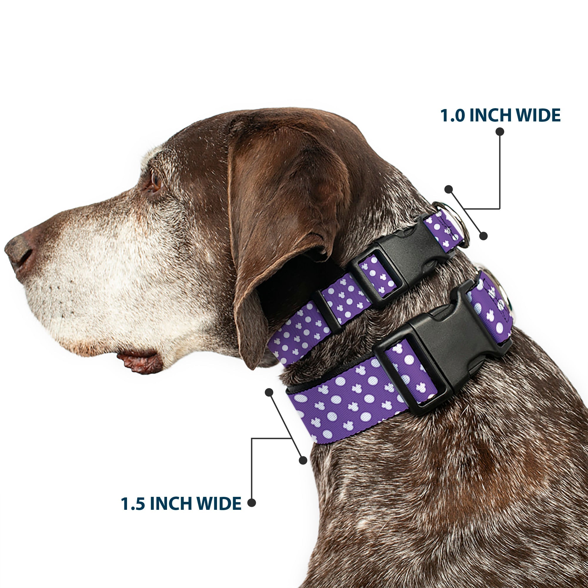 Plastic Clip Collar - Minnie Mouse Ears Monogram/Dots Purple/White