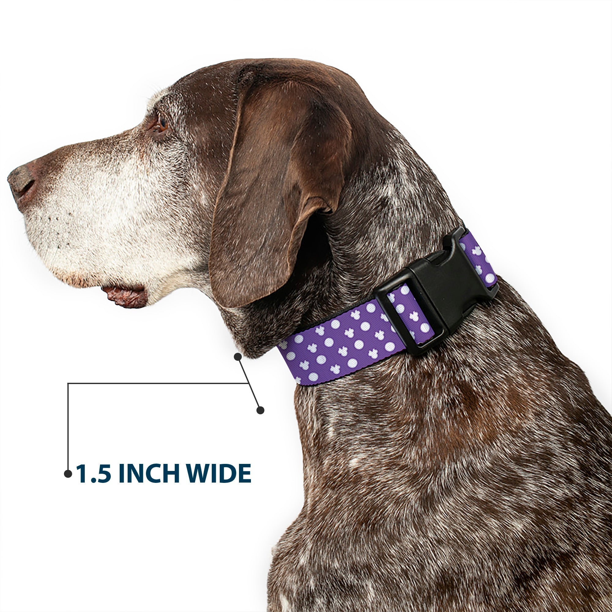 Plastic Clip Collar - Minnie Mouse Ears Monogram/Dots Purple/White