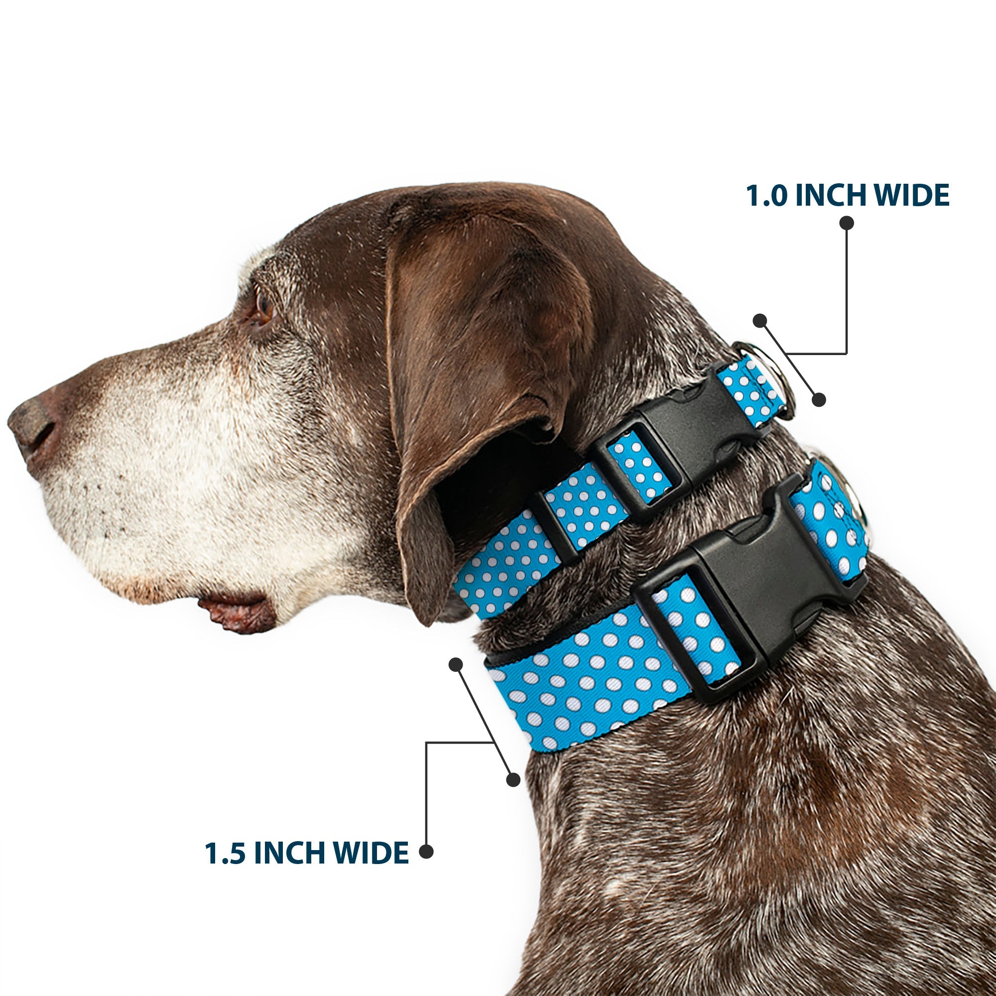 Plastic Clip Collar - Minnie Mouse Dots Blue/Black/White