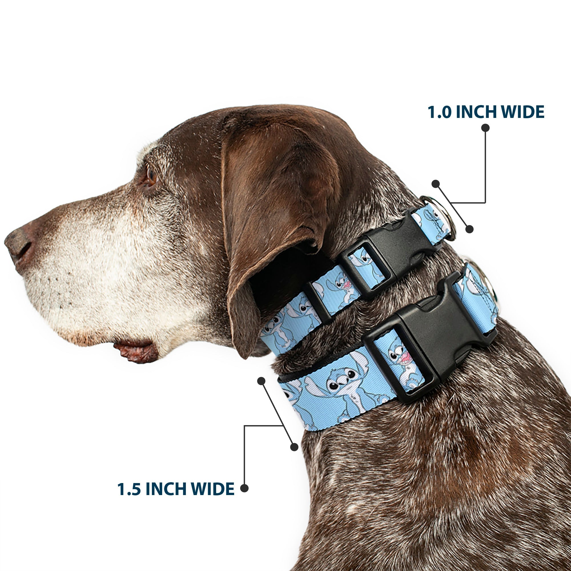 Plastic Clip Collar - Stitch 3-Poses Sky Blue/Black/White