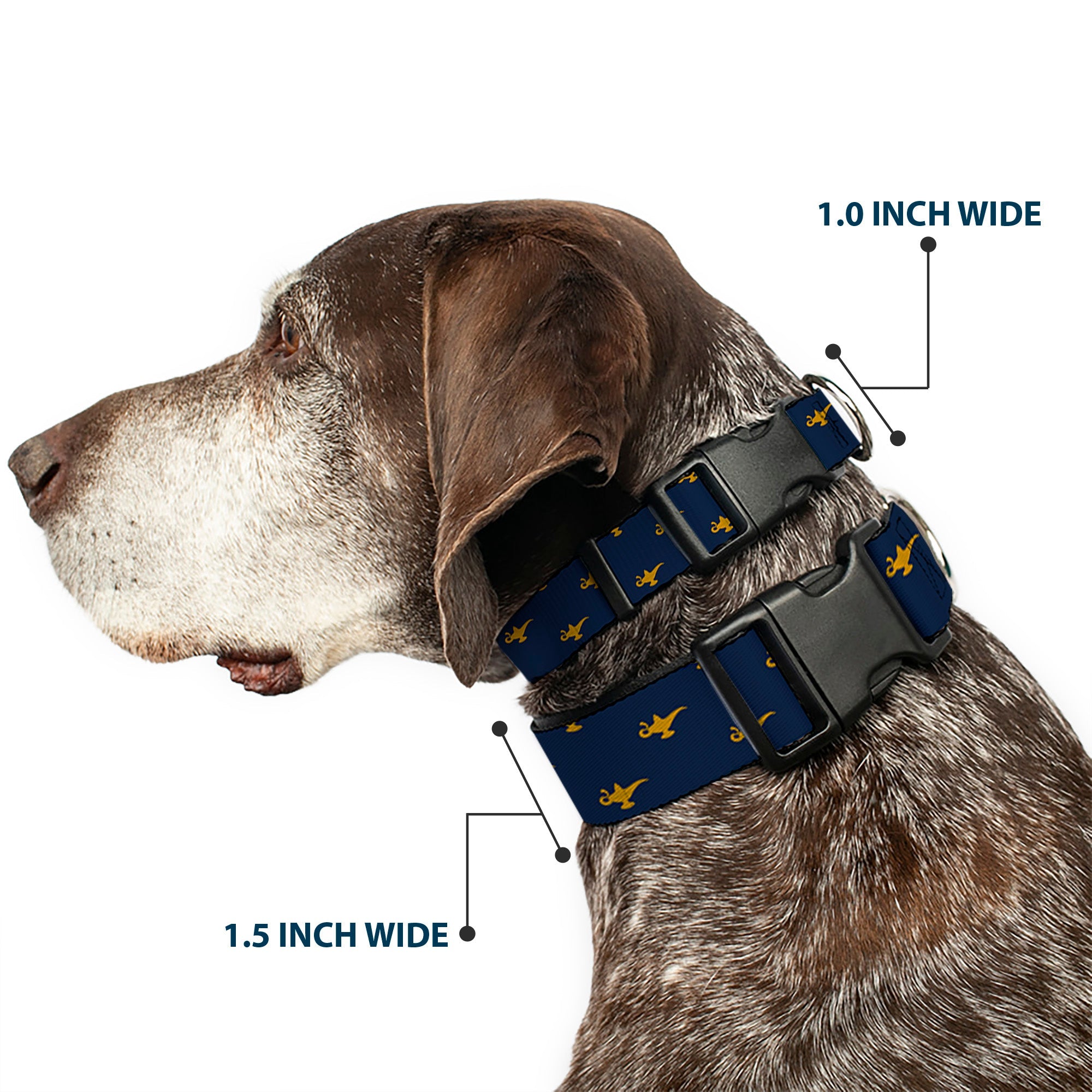 Plastic Clip Collar - Aladdin Genie Lamp Monogram Navy/Gold