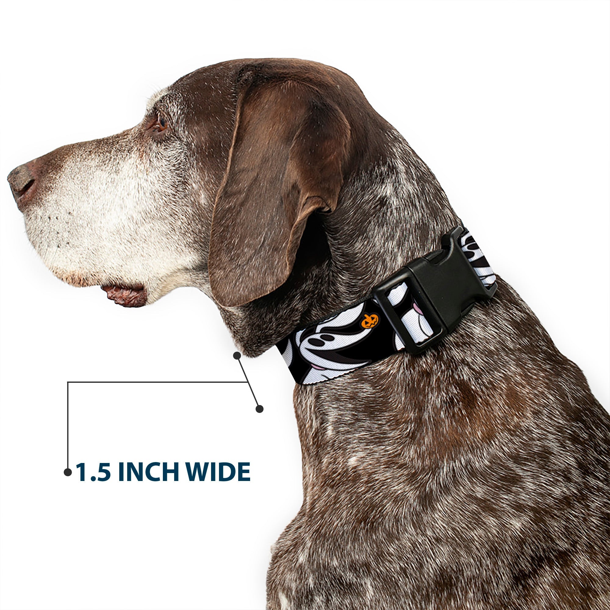 Plastic Clip Collar - Nightmare Before Christmas Zero 5-Pumpkin Expressions Black/White/Orange