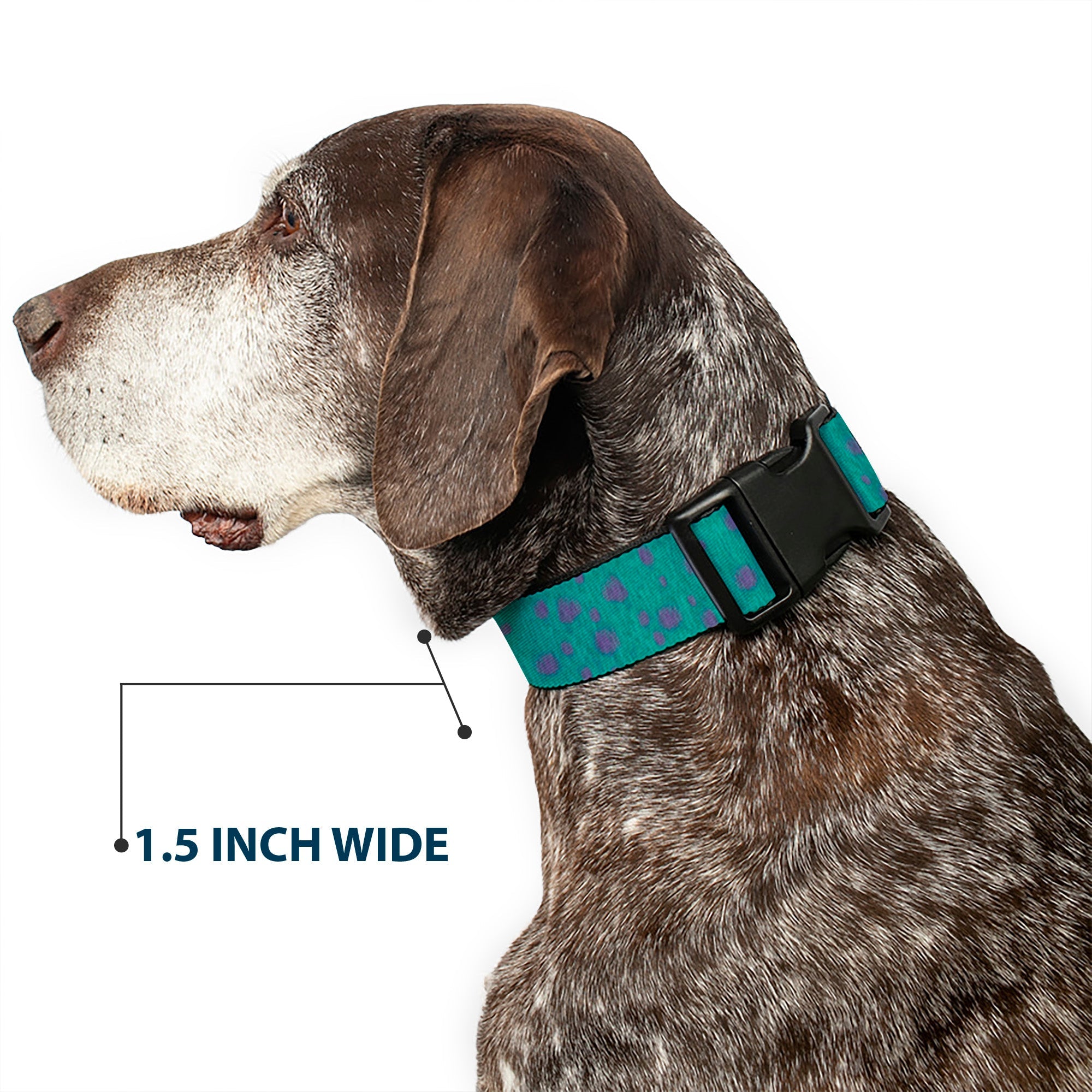 Plastic Clip Collar - Monsters Inc. Sulley Bounding Spots Blue/Purple