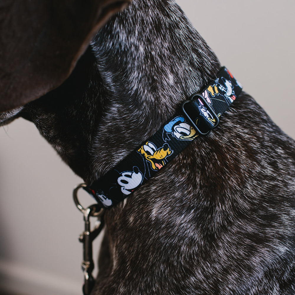 Plastic Clip Collar - Disney The Sensational Six Smiling Faces Black