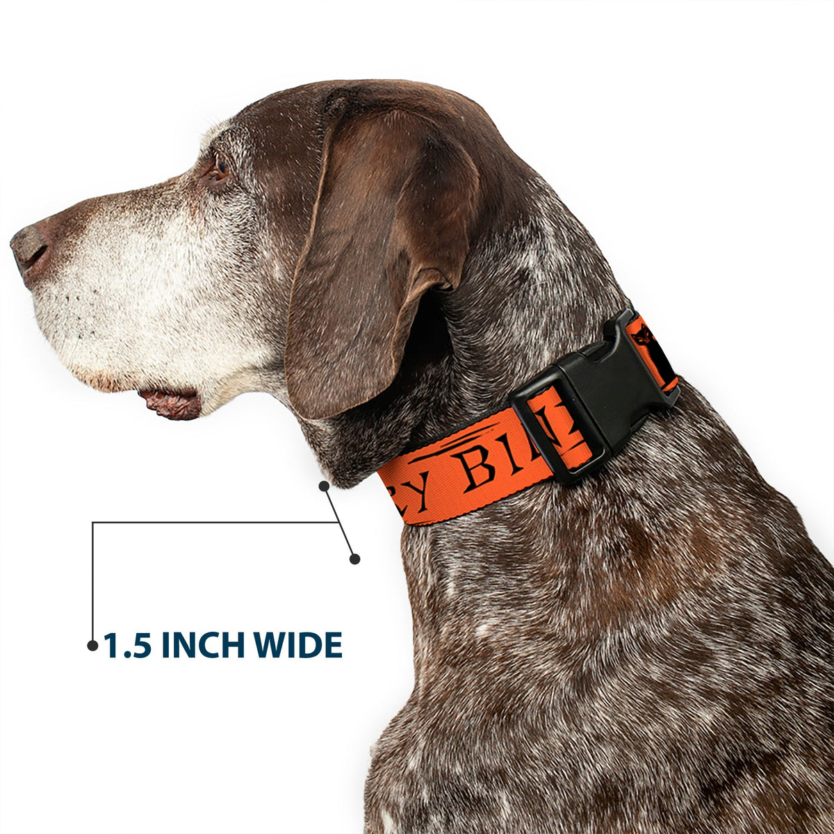 Plastic Clip Collar - Hocus Pocus THACKERY BINX Cat Silhouette Orange/Black