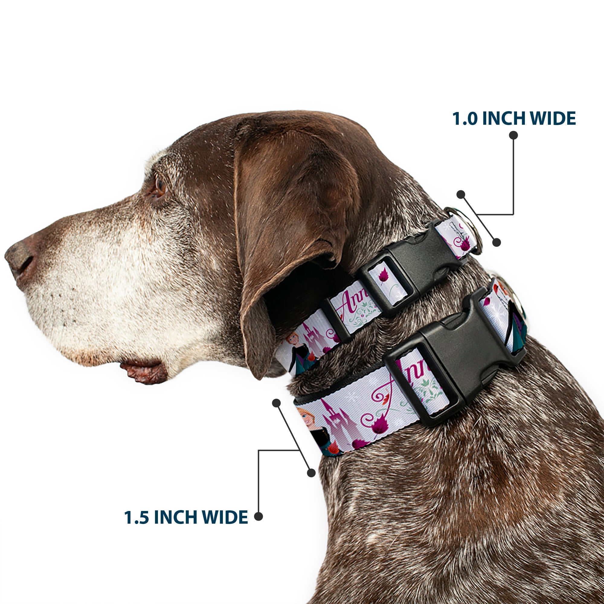 Plastic Clip Collar - Frozen Anna Castle Pose with Flowers and Script Grays/Pinks