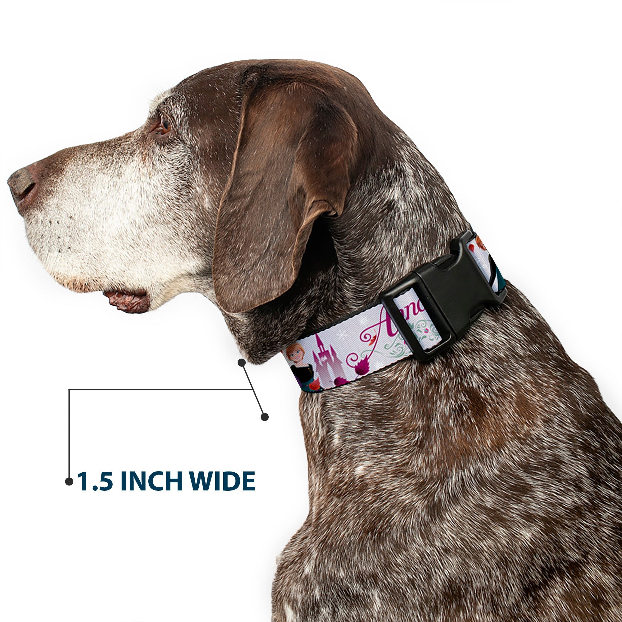 Plastic Clip Collar - Frozen Anna Castle Pose with Flowers and Script Grays/Pinks