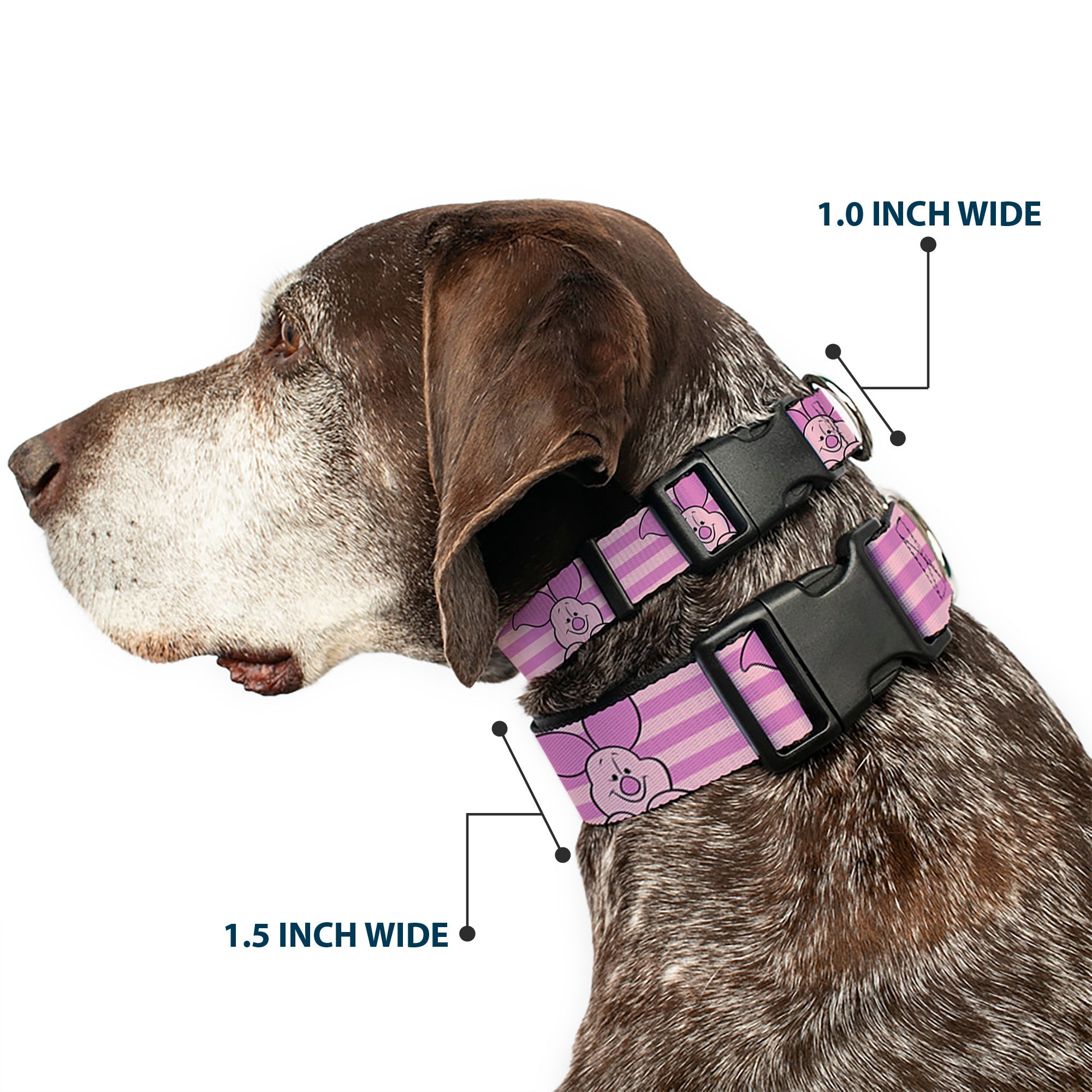 Plastic Clip Collar - Winnie the Pooh Piglet Expression Close-Up Stripe Pinks