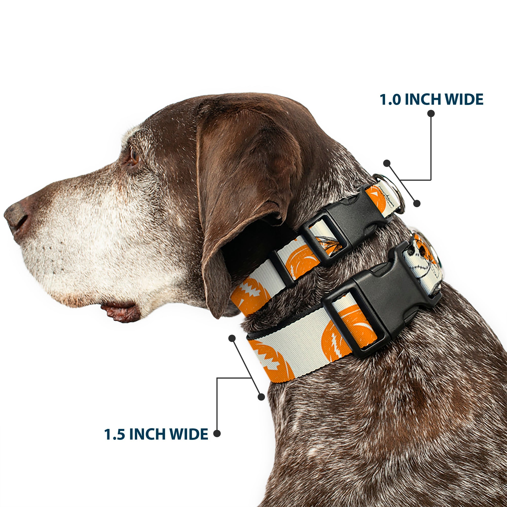 Plastic Clip Collar - The Nightmare Before Christmas Jack Pose and Pumpkins Collage Ivory/Orange/Black