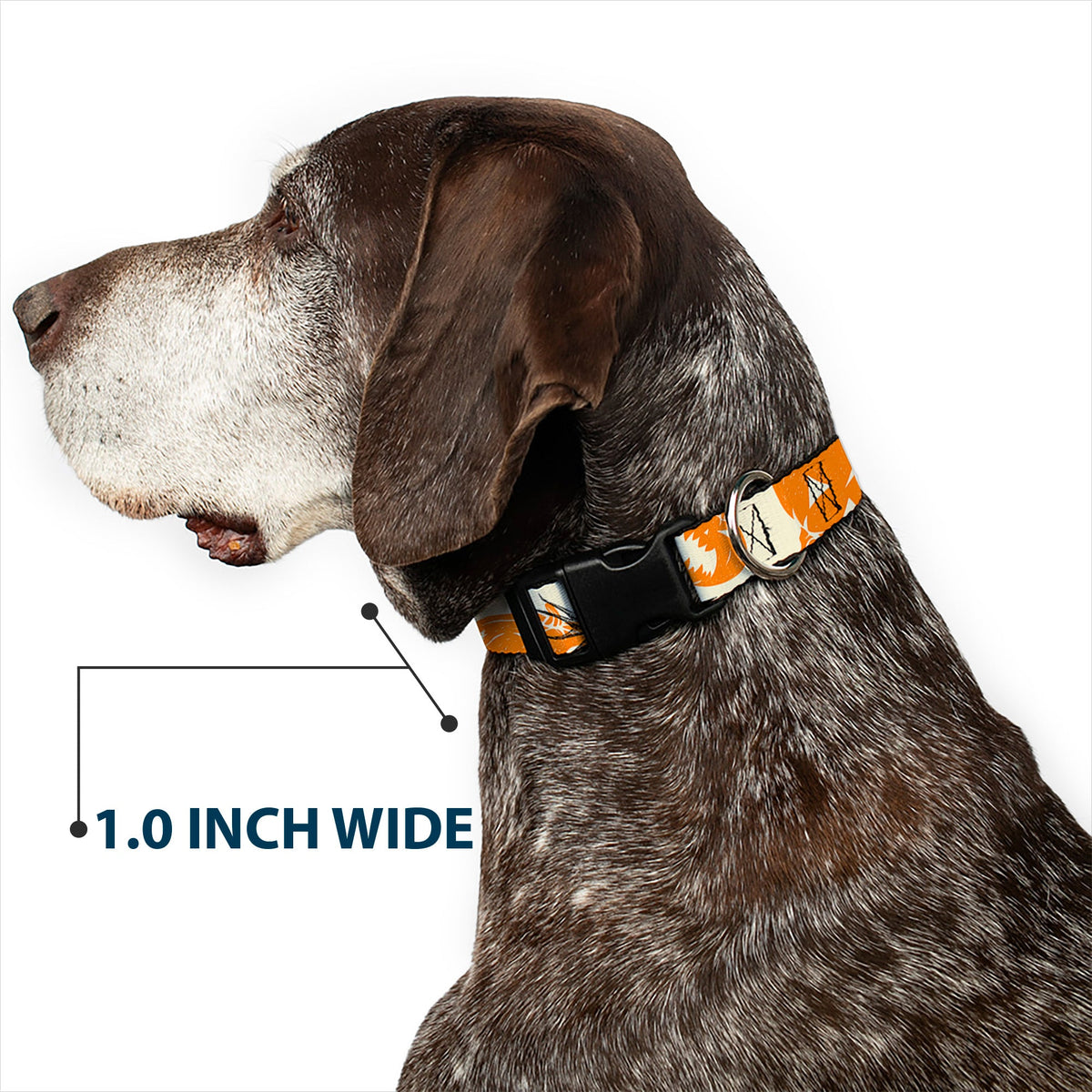 Plastic Clip Collar - The Nightmare Before Christmas Jack Pose and Pumpkins Collage Ivory/Orange/Black
