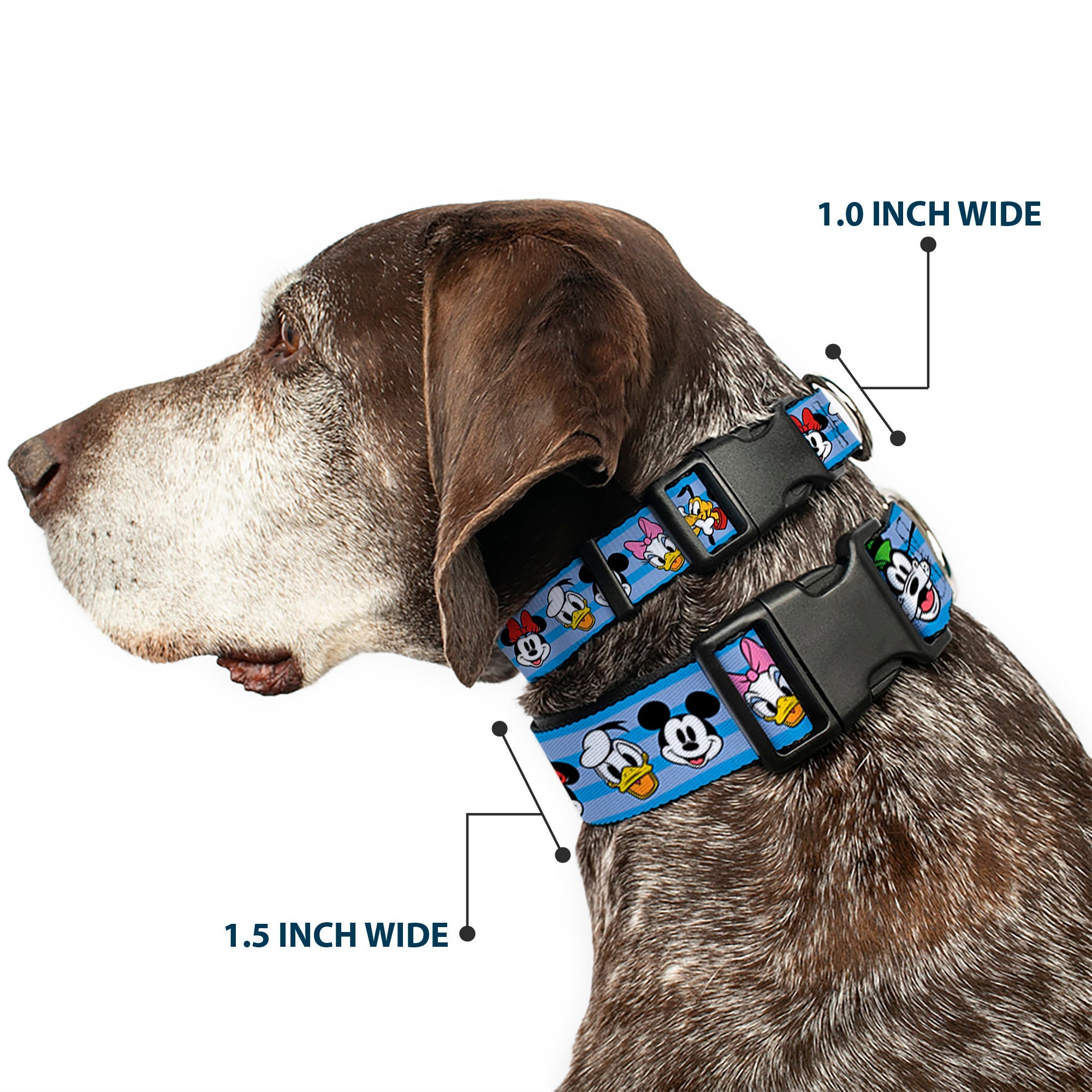 Plastic Clip Collar - Disney The Sensational Six Smiling Faces Stripe Blues