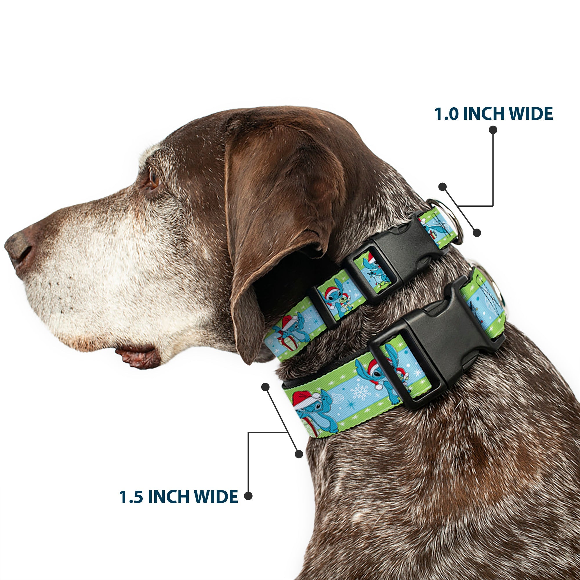 Plastic Clip Collar - Lilo and Stitch Holiday Stitch and Scrump Poses Stripe Green/Blue