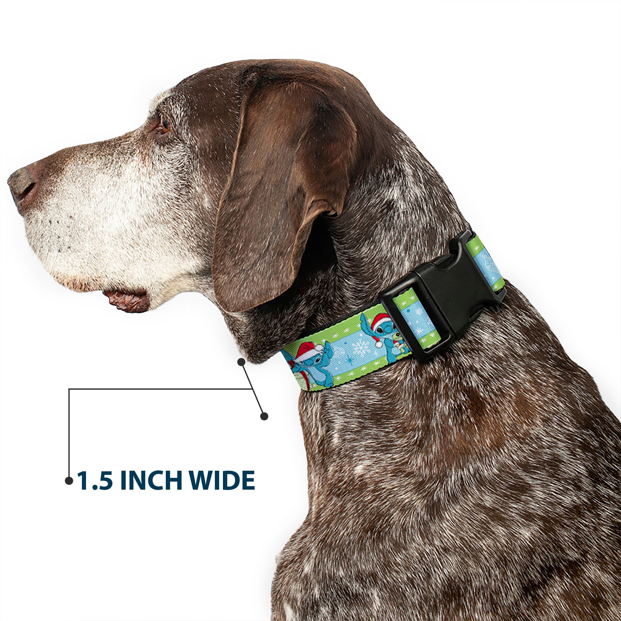 Plastic Clip Collar - Lilo and Stitch Holiday Stitch and Scrump Poses Stripe Green/Blue