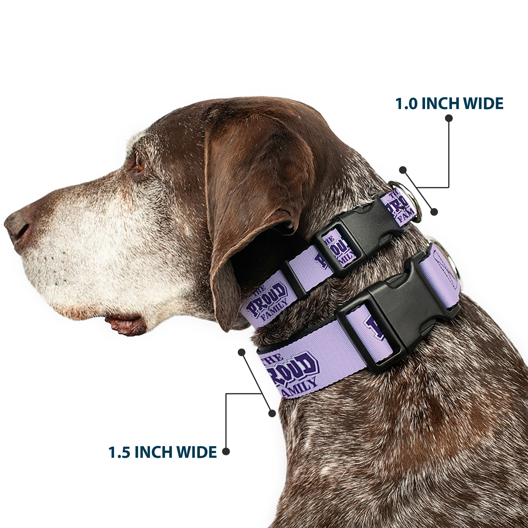 Plastic Clip Collar - THE PROUD FAMILY Title Logo Purples