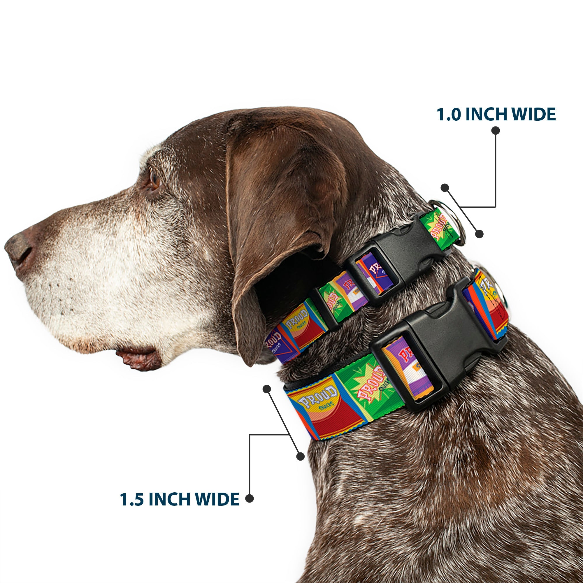 Plastic Clip Collar - The Proud Family PROUD SNACKS Logo Blocks Multi Color