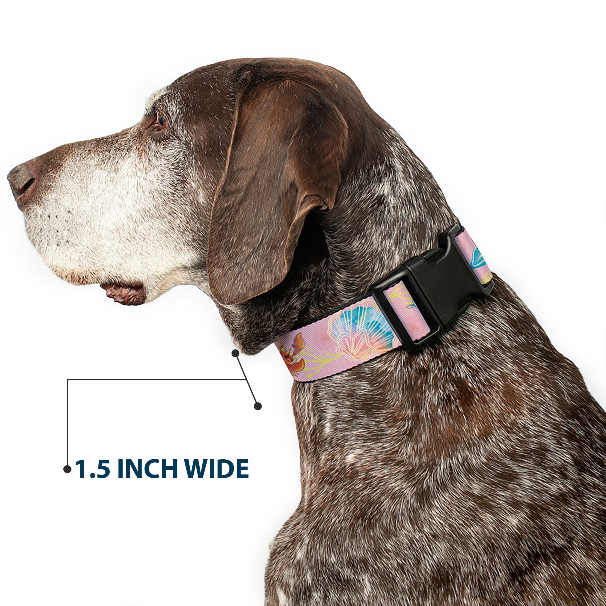 Plastic Clip Collar - The Little Mermaid Flounder and Sebastian Under the Sea Pinks