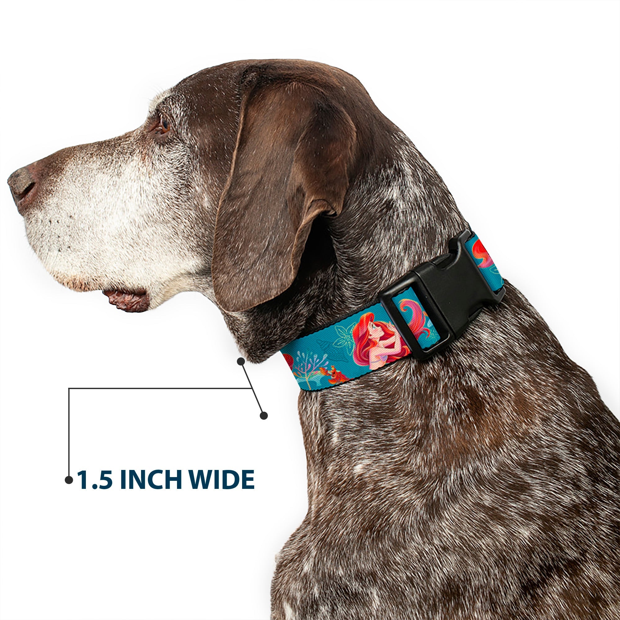 Plastic Clip Collar - The Little Mermaid Flounder and Sebastian Under the Sea Greens