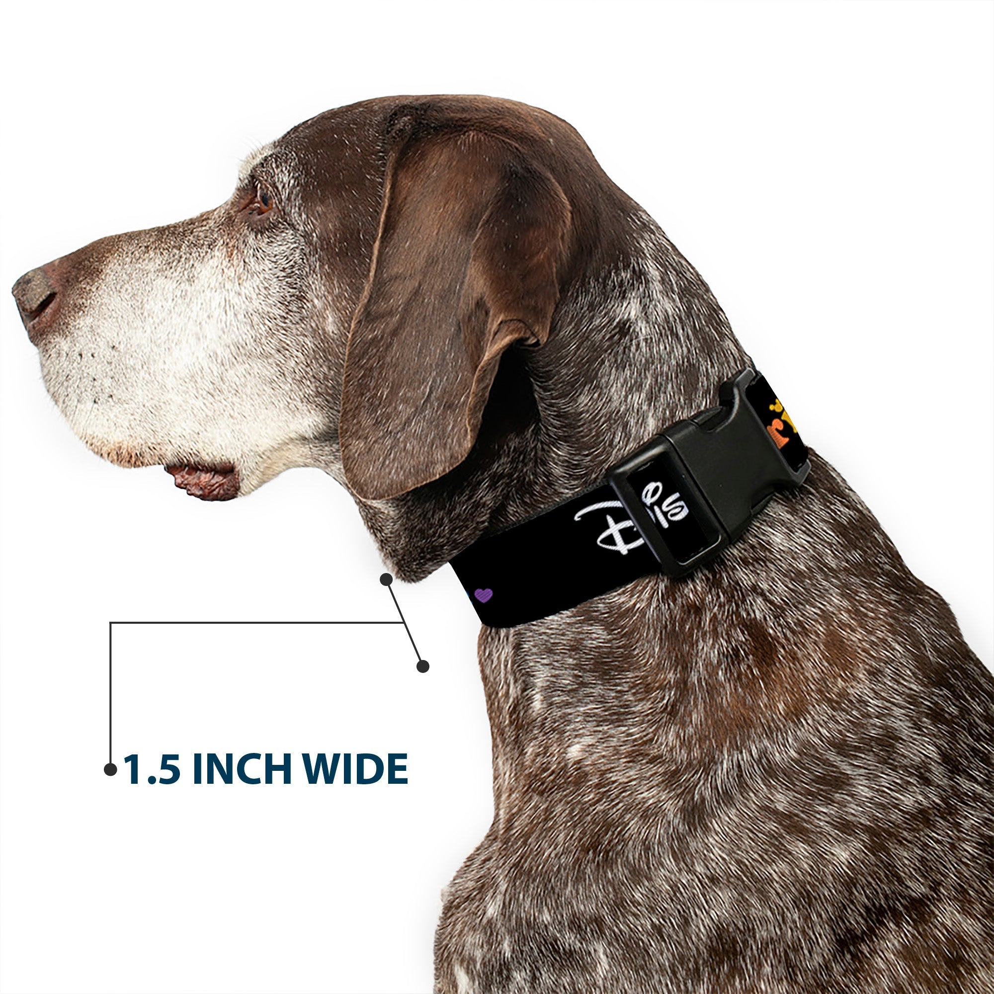 Plastic Clip Collar - DISNEY PRIDE Signature Logo Black/White/Rainbow