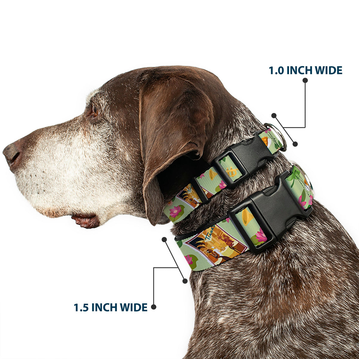 Plastic Clip Collar - The Princess and the Frog Tianas Place Collage Greens/Pinks