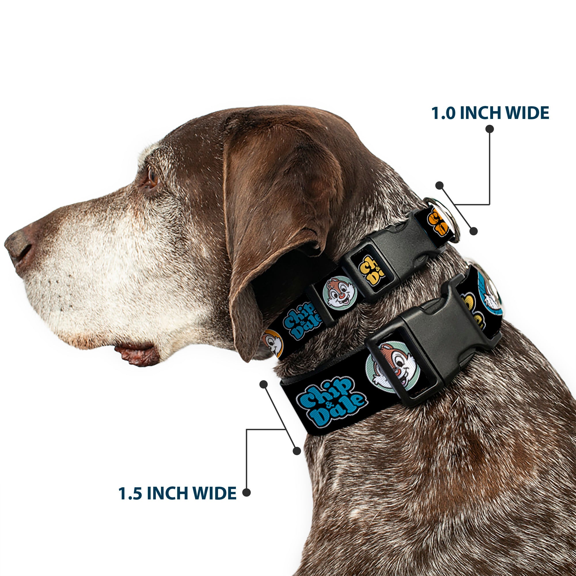Plastic Clip Collar - CHIP & DALE Expression Bubbles Black/Multi Color