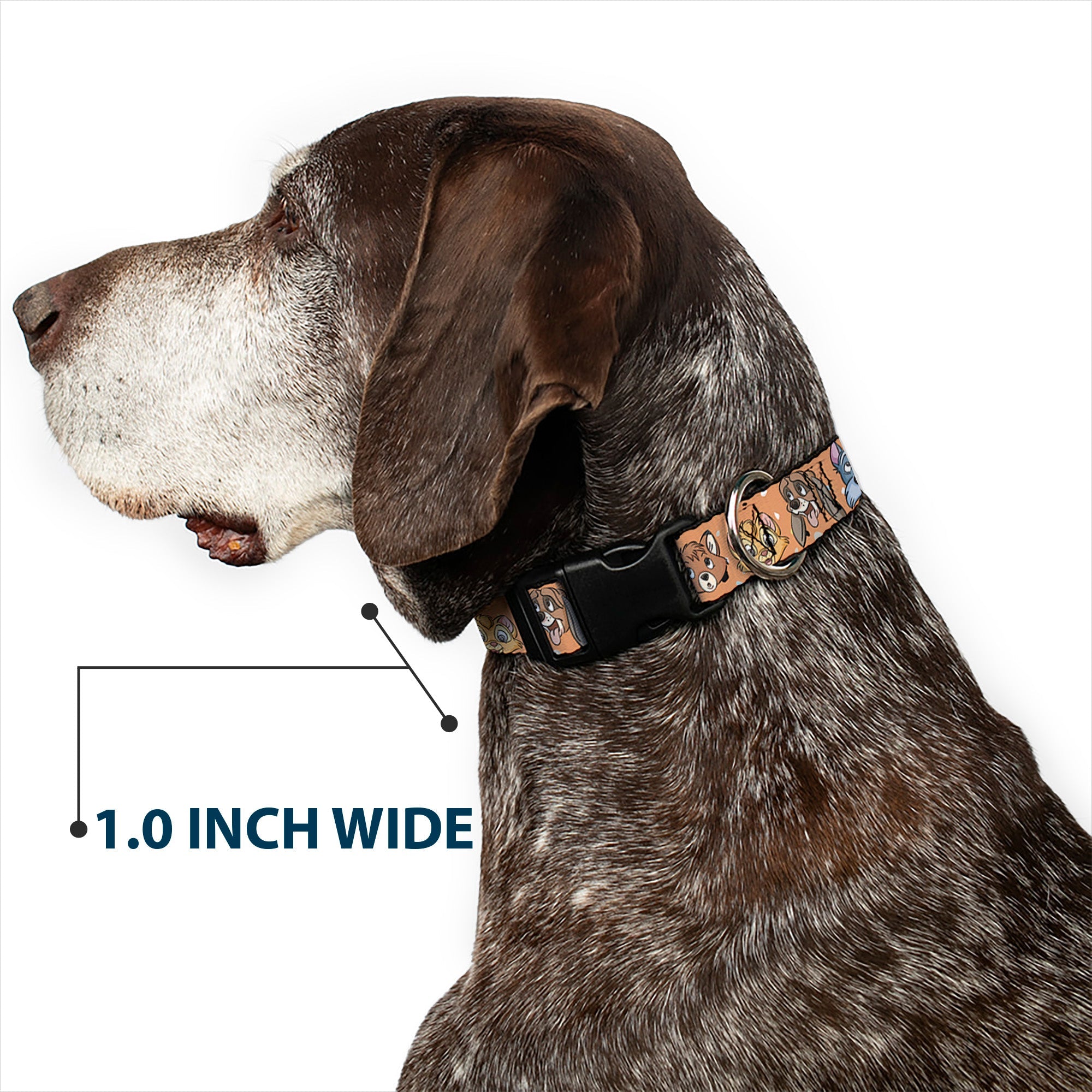 Plastic Clip Collar - Disney Cats and Dogs Faces Orange