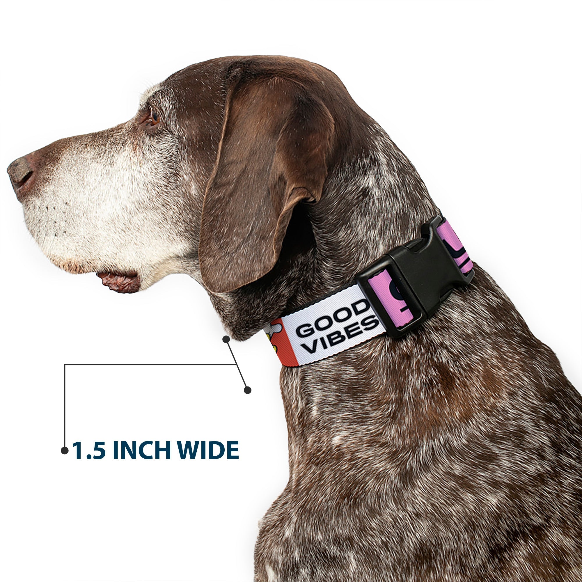 Plastic Clip Collar - Sensational Six GOOD VIBES CLUB Pose Blocks Multi Color