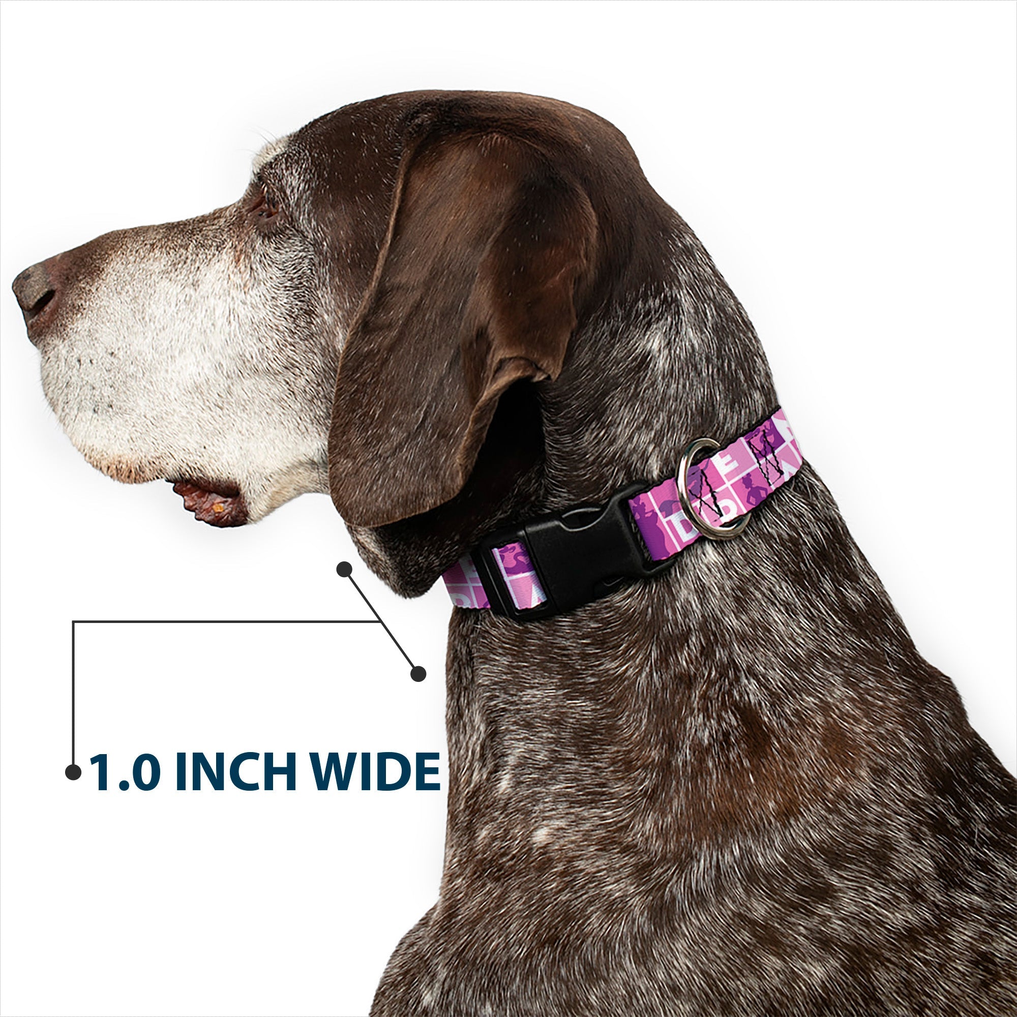 Plastic Clip Collar - Disney DREAM Princess Silhouette Poses Pinks/White