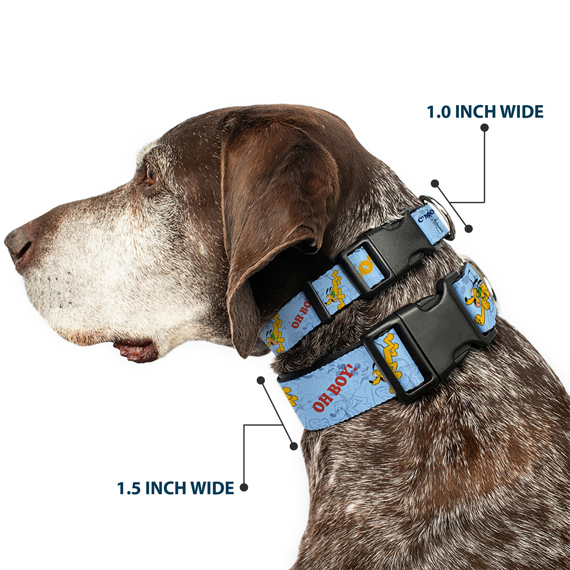 Plastic Clip Collar - Disney Pluto Poses and Quotes Blues/Red/Yellow