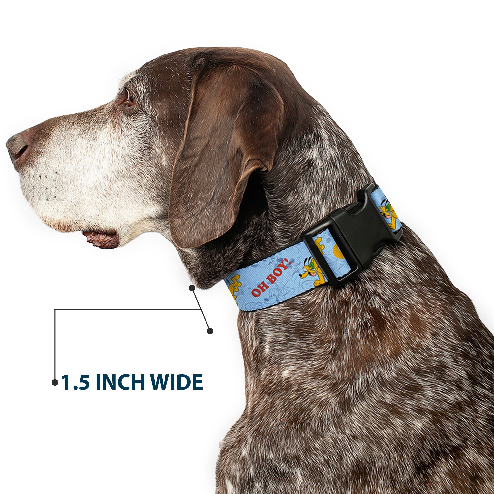 Plastic Clip Collar - Disney Pluto Poses and Quotes Blues/Red/Yellow