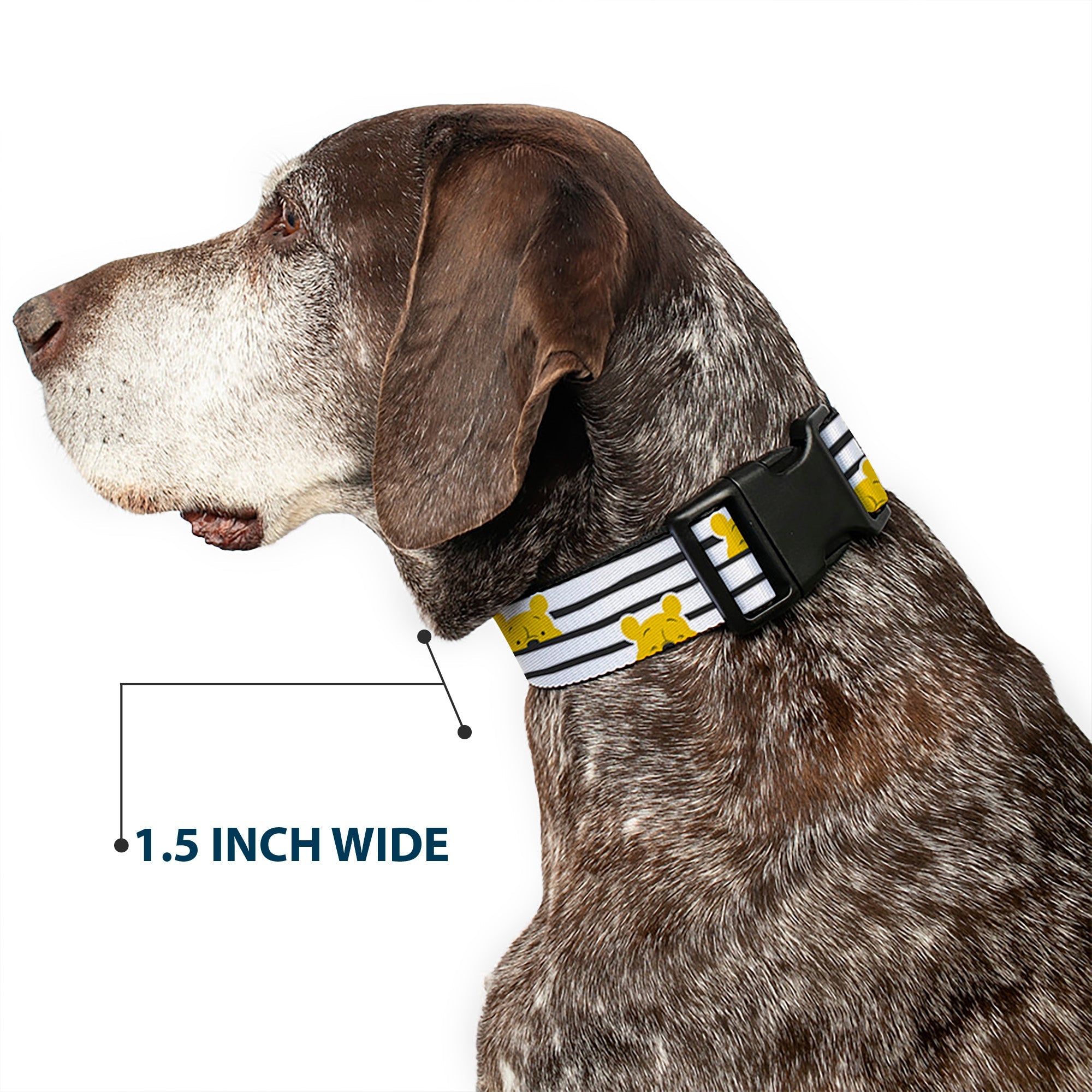 Plastic Clip Collar - Winnie the Pooh Peeking Poses Stripe White/Black