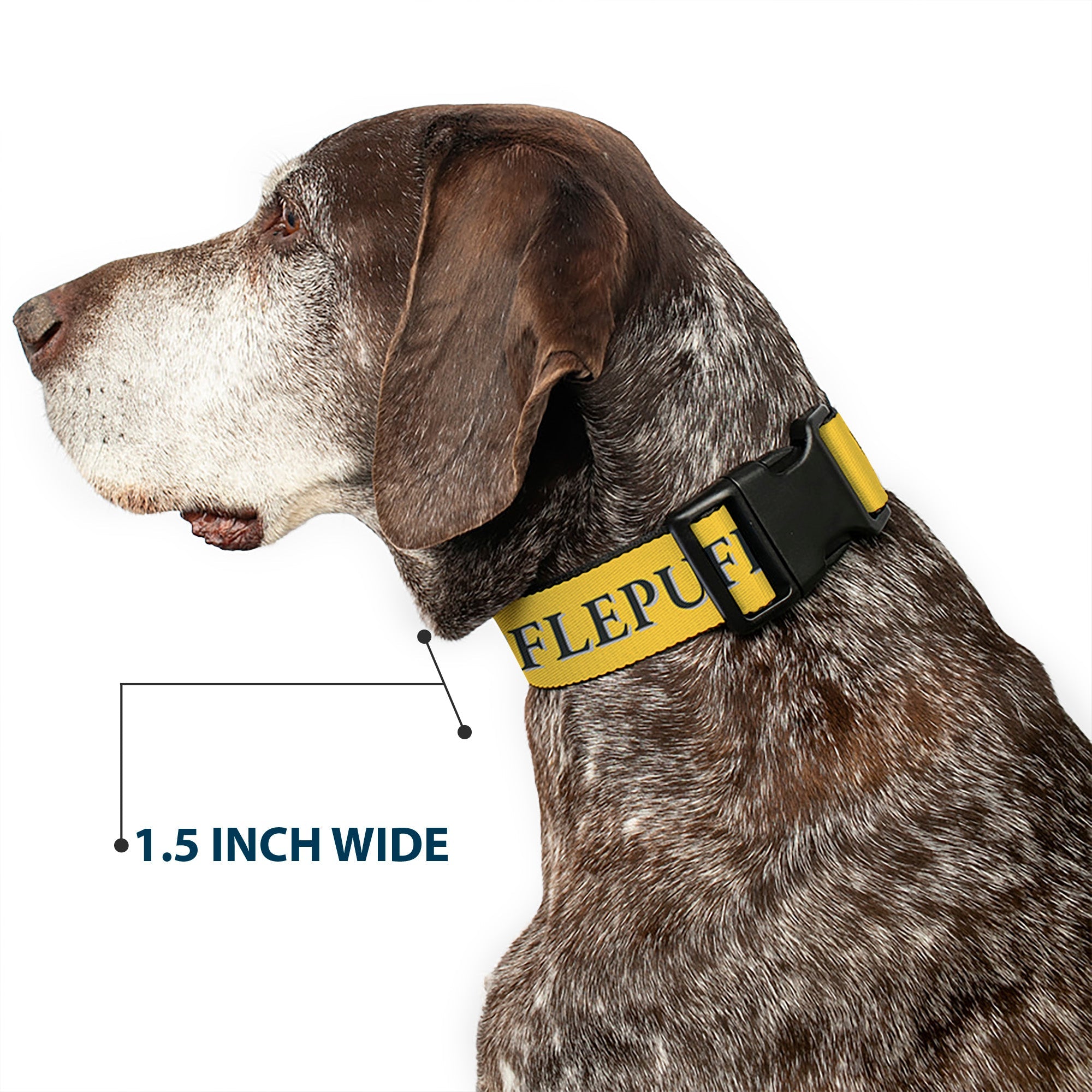 Plastic Clip Collar - Harry Potter HUFFLEPUFF & Crest Yellow/Black