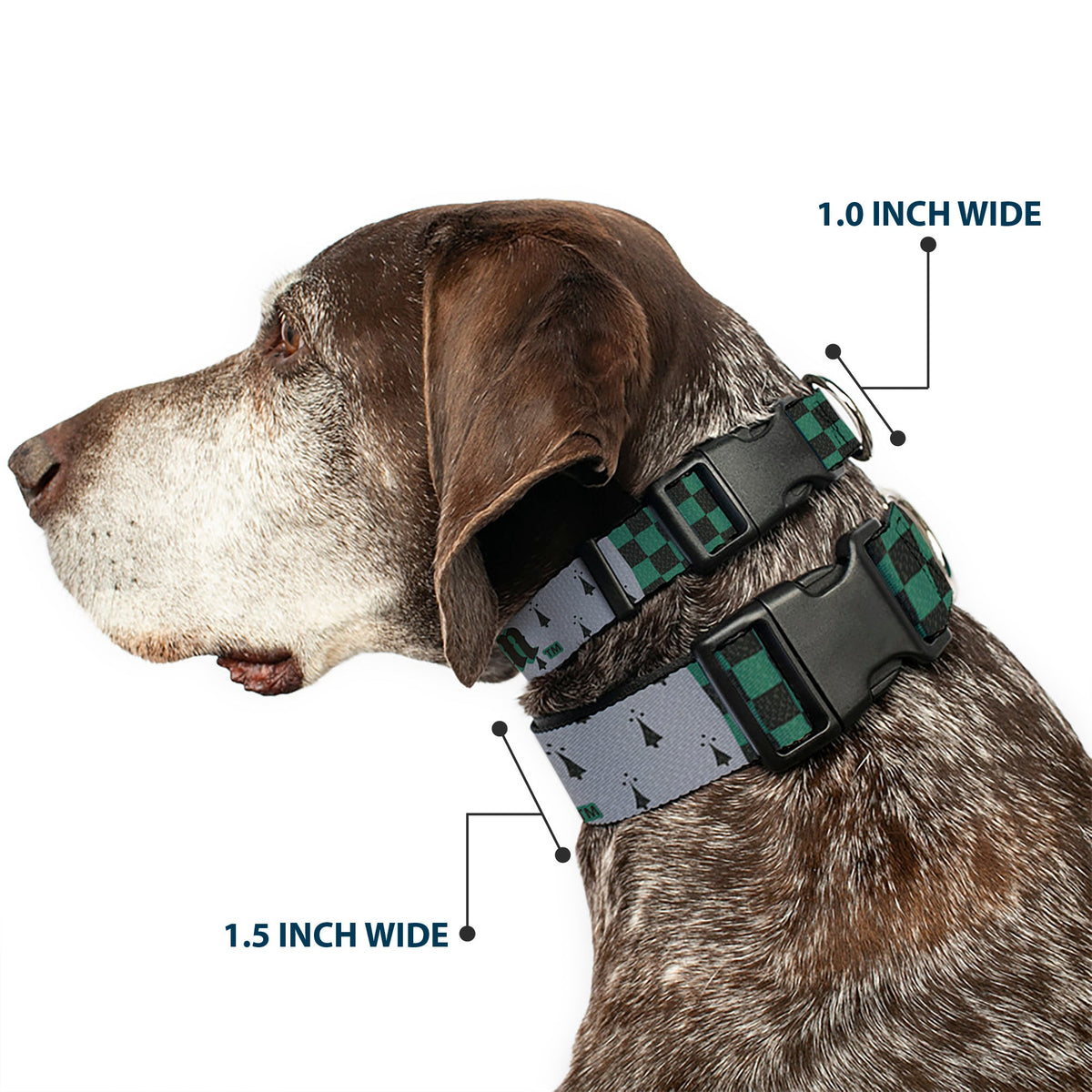 Plastic Clip Collar - Harry Potter SLYTHERIN/Checker Blocks Grays/Greens
