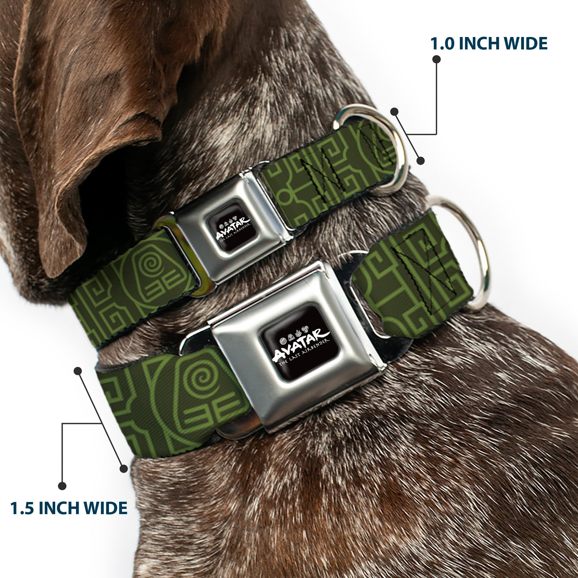 AVATAR LAST AIRBENDER Title Logo Full Color Black/White Seatbelt Buckle Collar - Avatar Last Airbender Earth Element Symbol Black/Olive Green