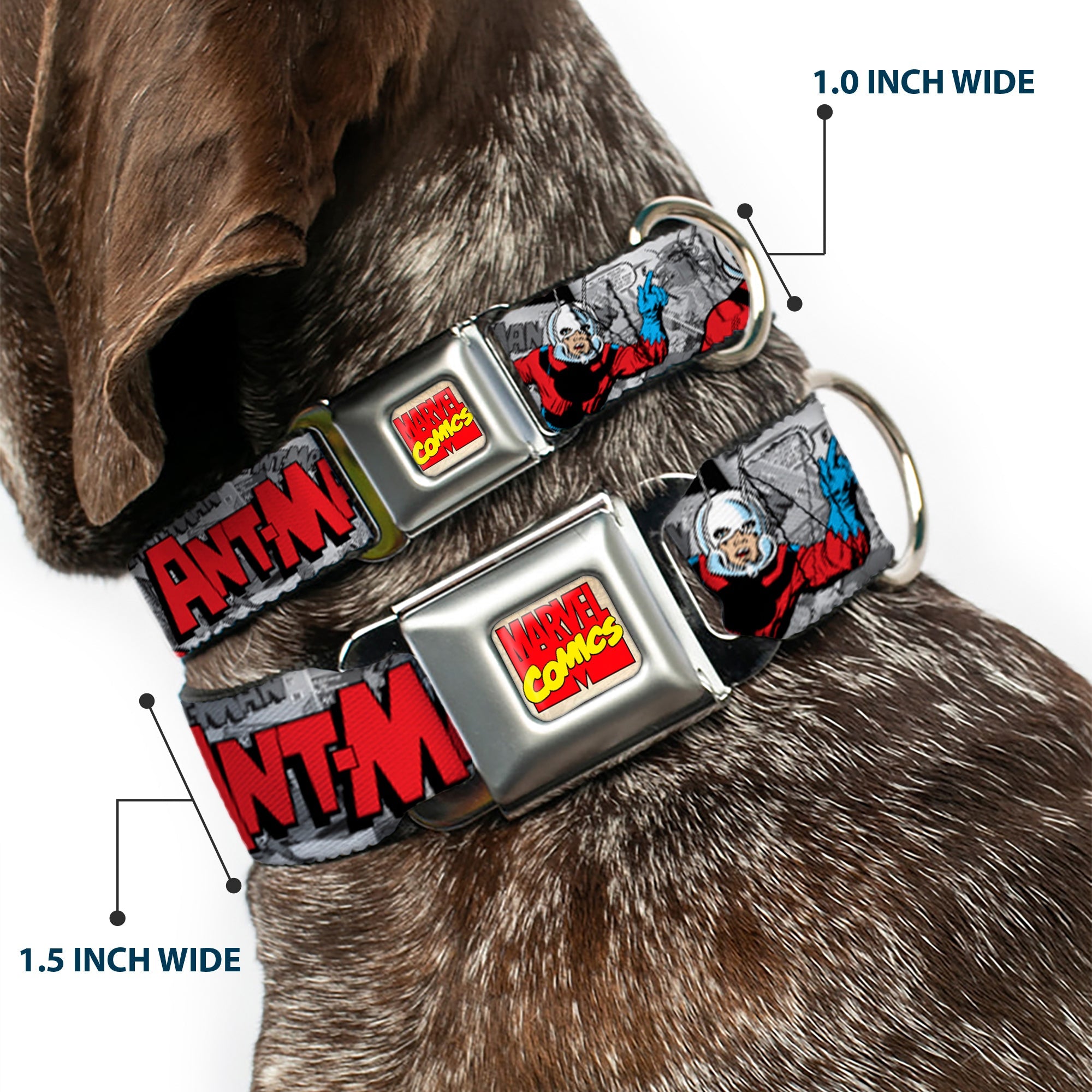 Marvel Comics Logo Full Color Seatbelt Buckle Collar - Classic ANT-MAN 3-Poses/Comic Stacked Grays/Black/Red