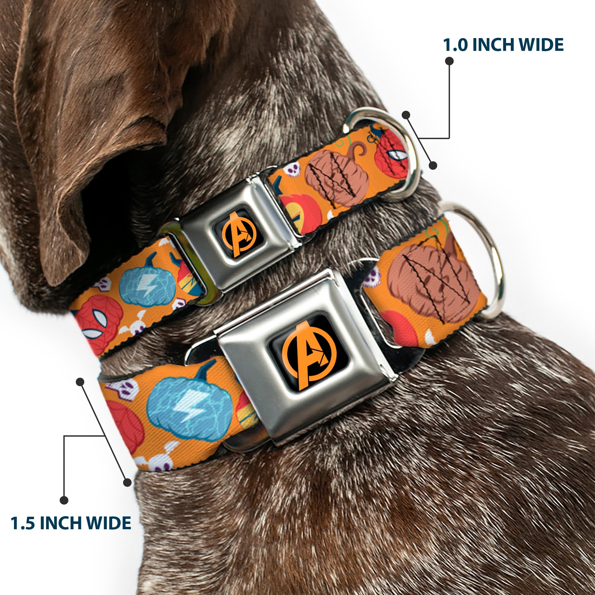 Avengers A Logo Full Color Black/Orange Seatbelt Buckle Collar - Marvel 9-Avengers Halloween Jack-O-Lantern Pumpkin Icons Scattered Orange
