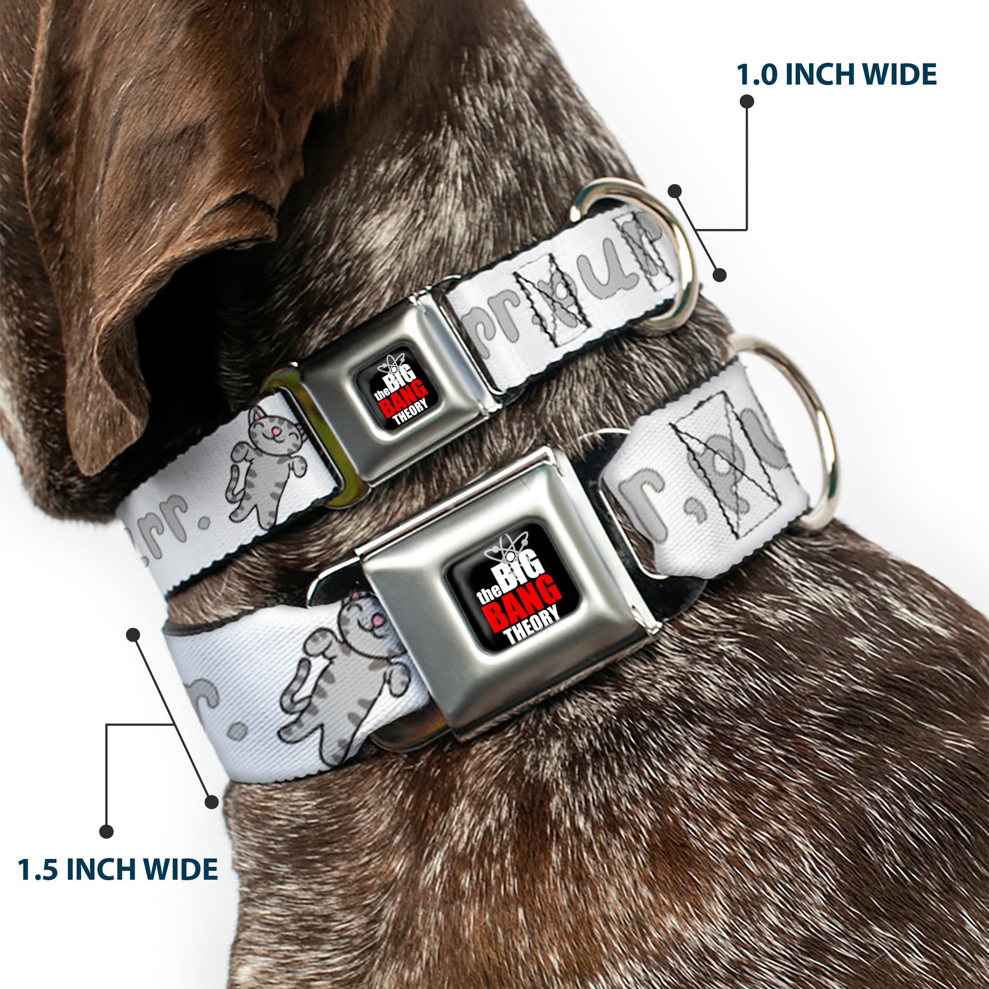 THE BIG BANG THEORY Full Color Black White Red Seatbelt Buckle Collar - Soft Kitty PURR, PURR, PURR