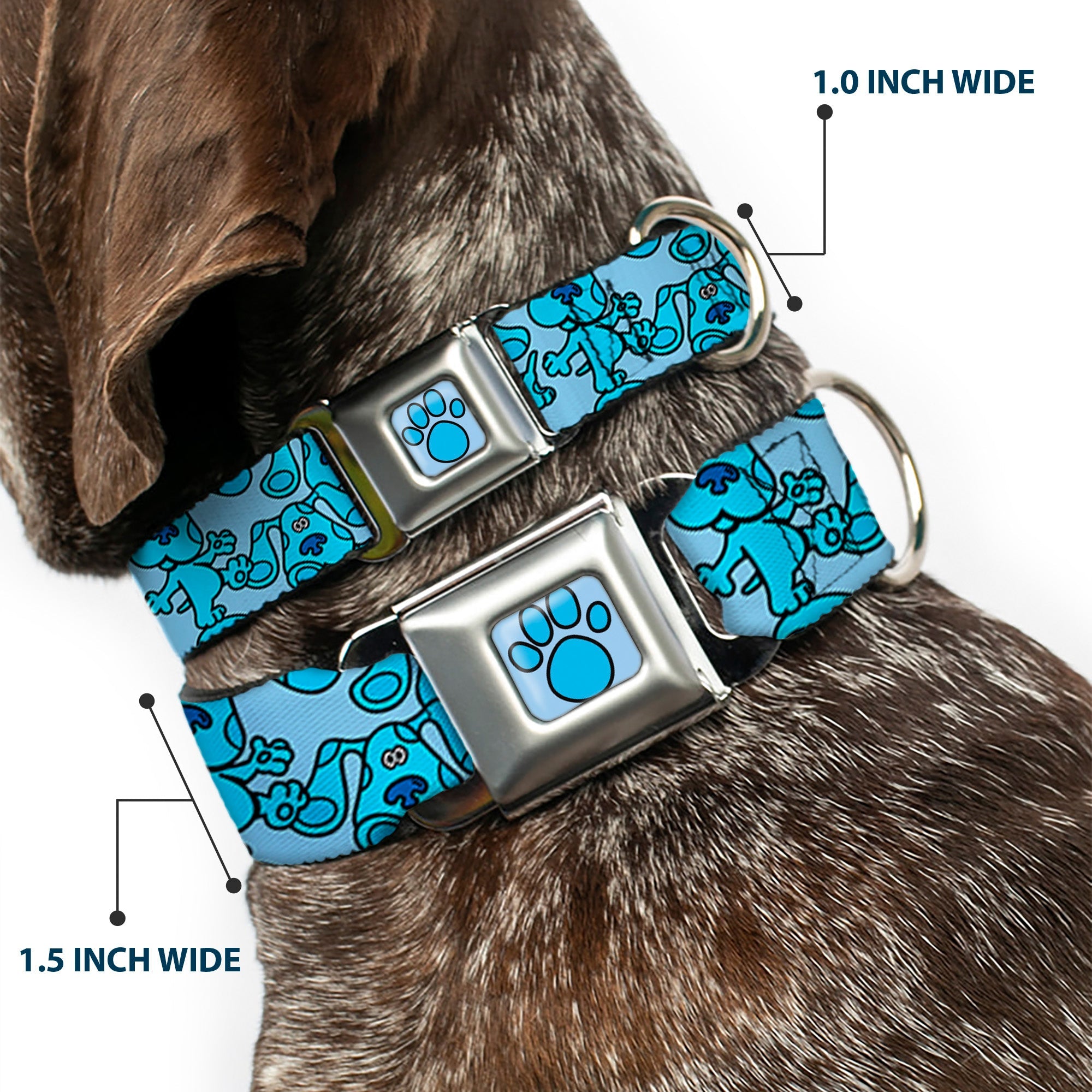 Blue's Clues Paw Full Color Blues Seatbelt Buckle Collar - Blue's Clues Blue Poses Scattered Blues