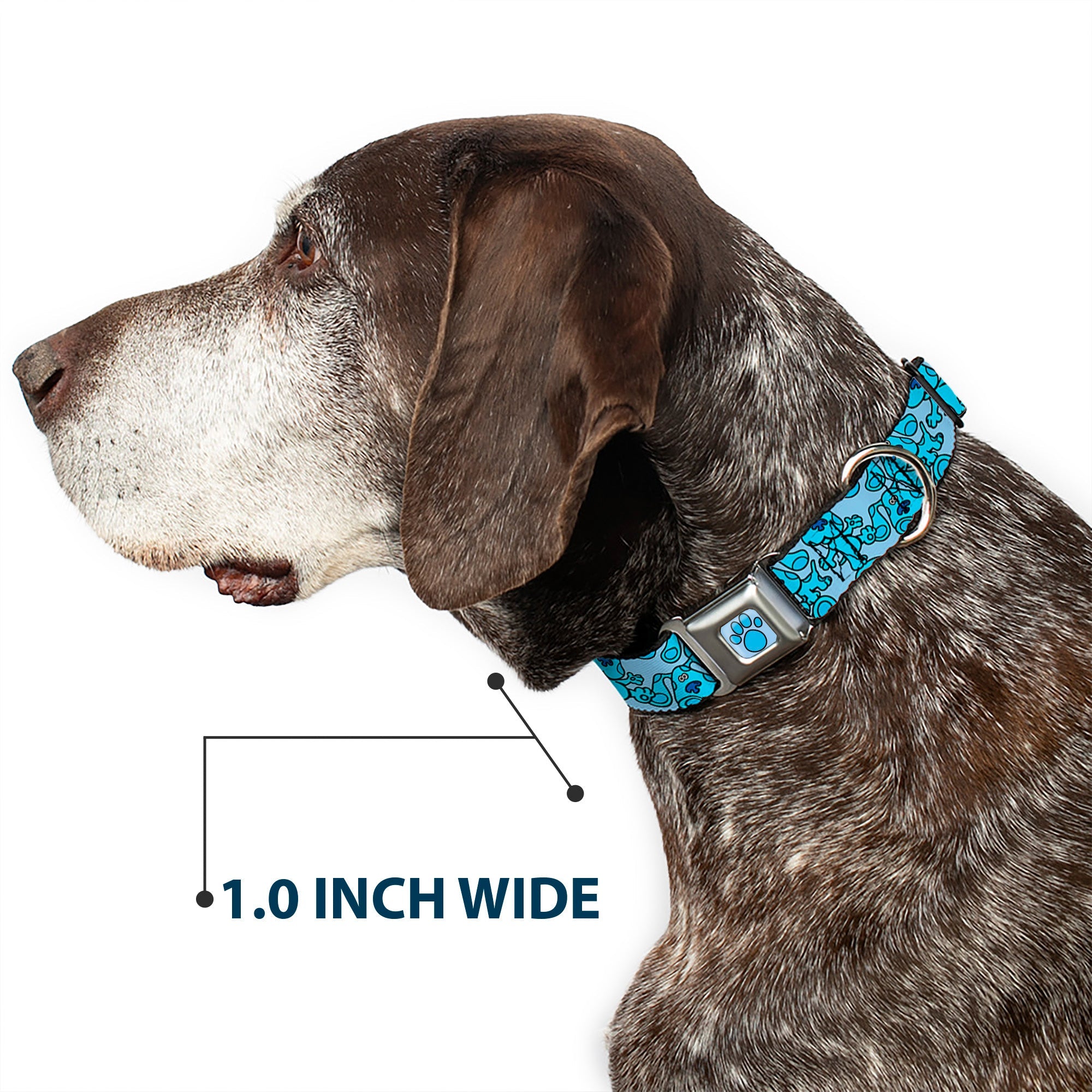 Blues Clues Paw Full Color Blues Seatbelt Buckle Collar - Blues Clues Blue Poses Scattered Blues